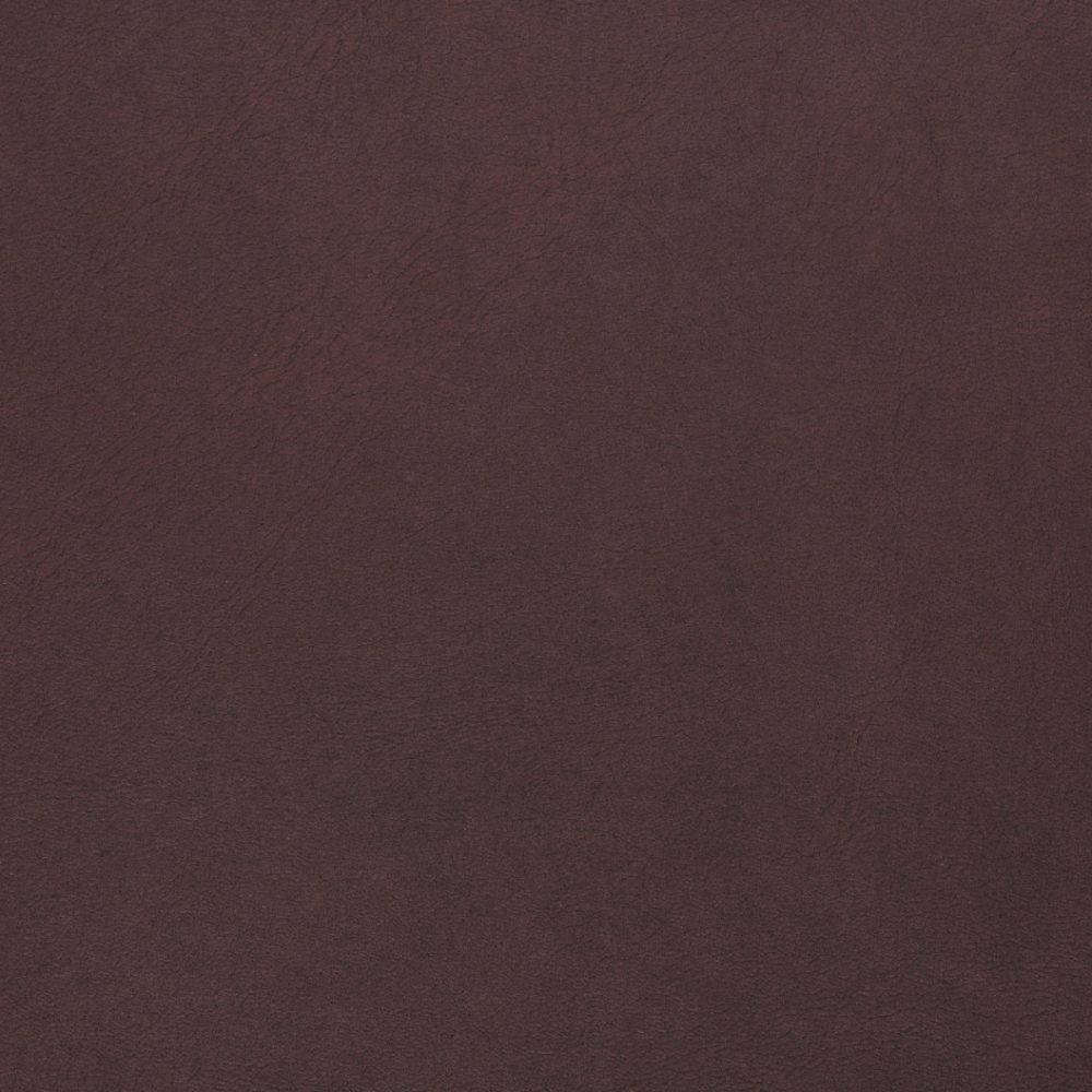 Aubergine