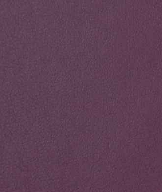 Perfect Plum